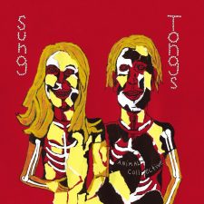 New Pressing: Animal Collective — Sung Tongs